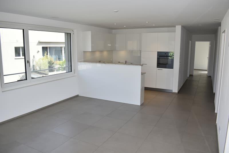 Attraktive 4½ Zimmerwohnung mit Sicht auf Hallwilersee (2)