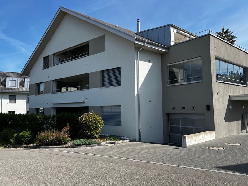 Attraktive 4½ Zimmerwohnung mit Sicht auf Hallwilersee (1)