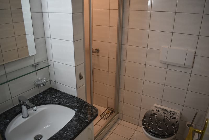 5.5 Zimmerwohnung mit angrenzender Doppelgarage, am Waldrand gelegen (6)