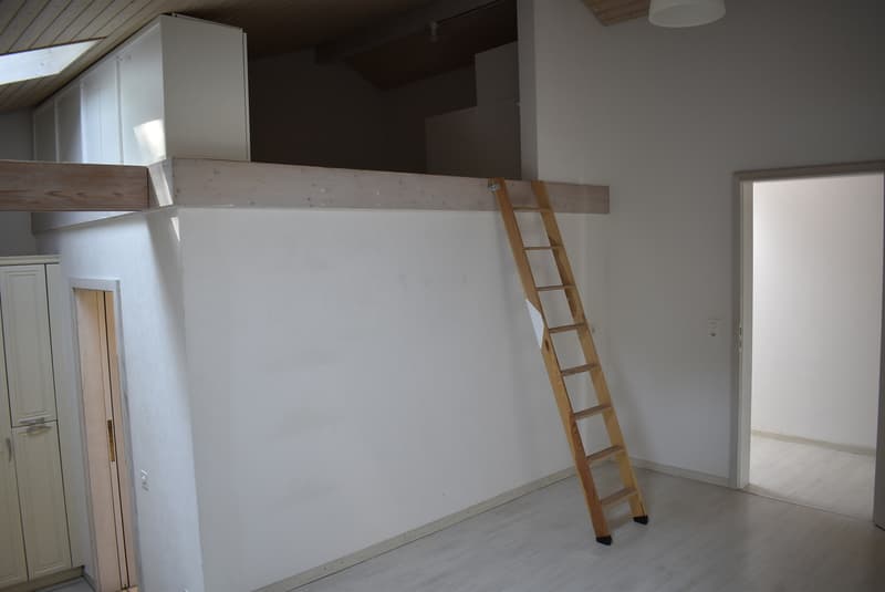 5.5 Zimmerwohnung mit angrenzender Doppelgarage, am Waldrand gelegen (9)