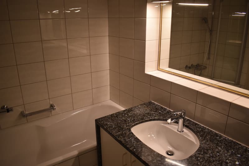 5.5 Zimmerwohnung mit angrenzender Doppelgarage, am Waldrand gelegen (7)