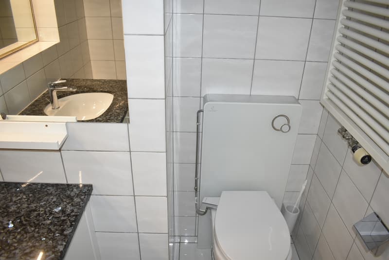 5.5 Zimmerwohnung mit angrenzender Doppelgarage, am Waldrand gelegen (8)