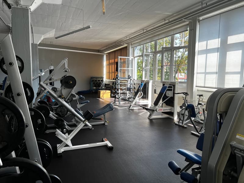 Diverse Gewerbeflächen 110m², 179m², 566m² an zentraler Lage (3)