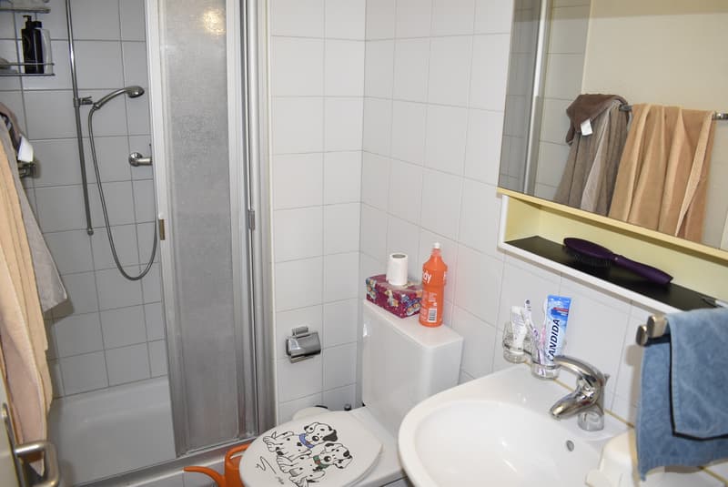 Kinderfreundliche 4½ Zimmer Erdgeschosswohnung (5)