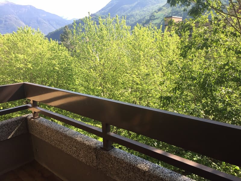 Beautiful 1.5-room apartment in a green area, in Giubiasco (9)