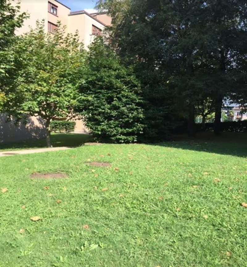 Beautiful 1.5-room apartment in a green area, in Giubiasco (4)
