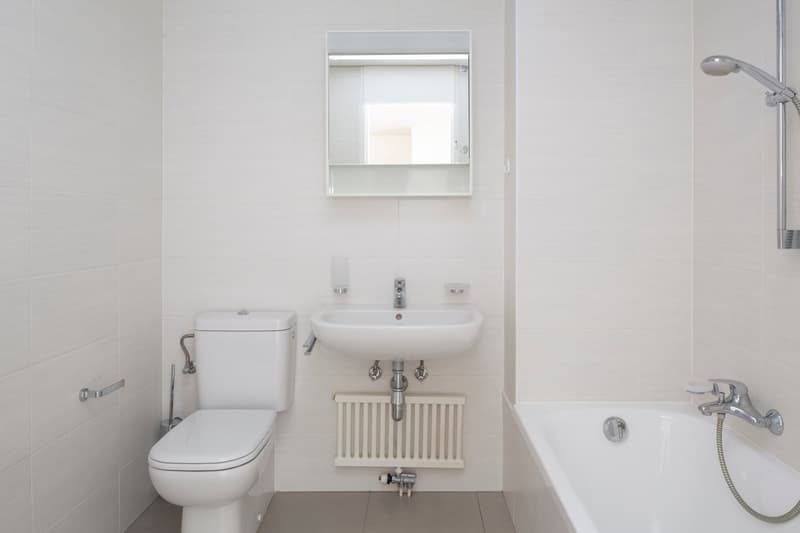 Beautiful 1.5-room apartment in a green area, in Giubiasco (12)