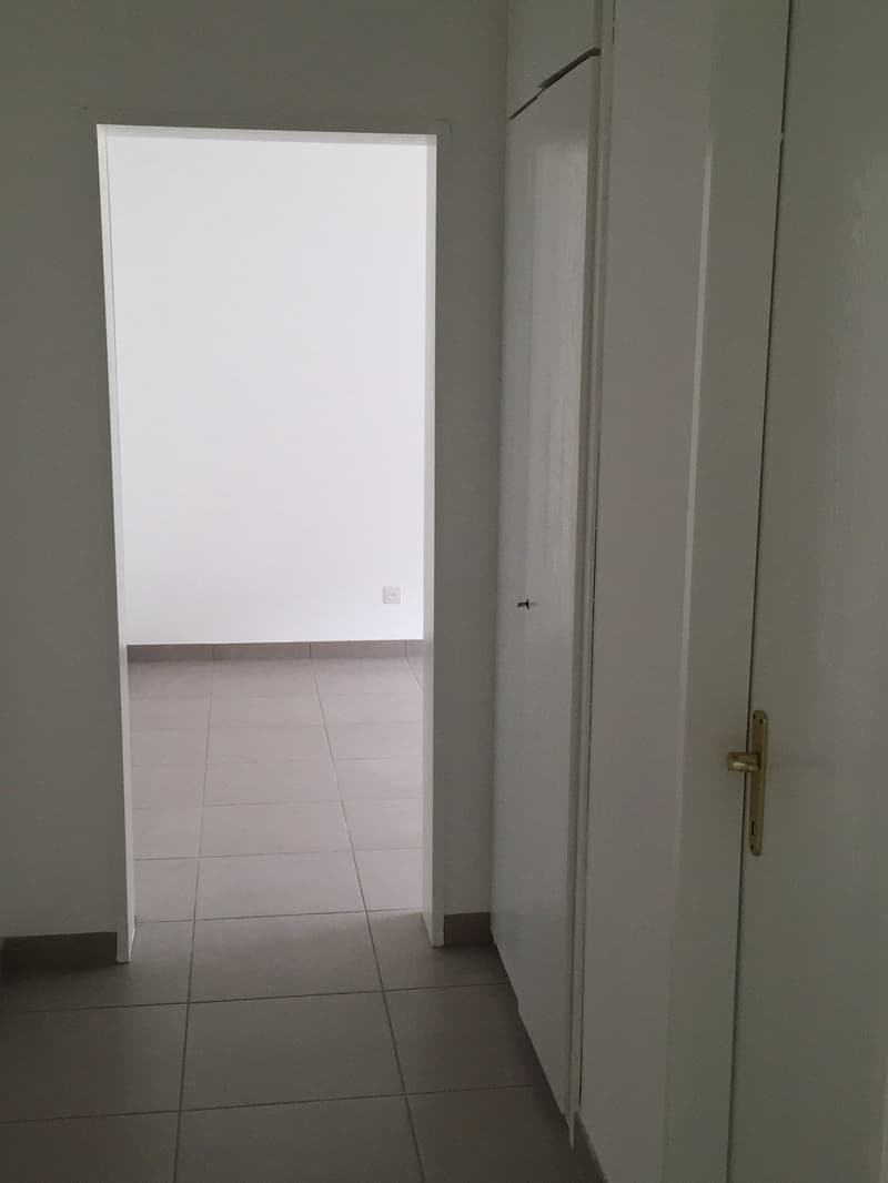2.5-room apartment renovated in Giubiasco in a quiet and green area (10)