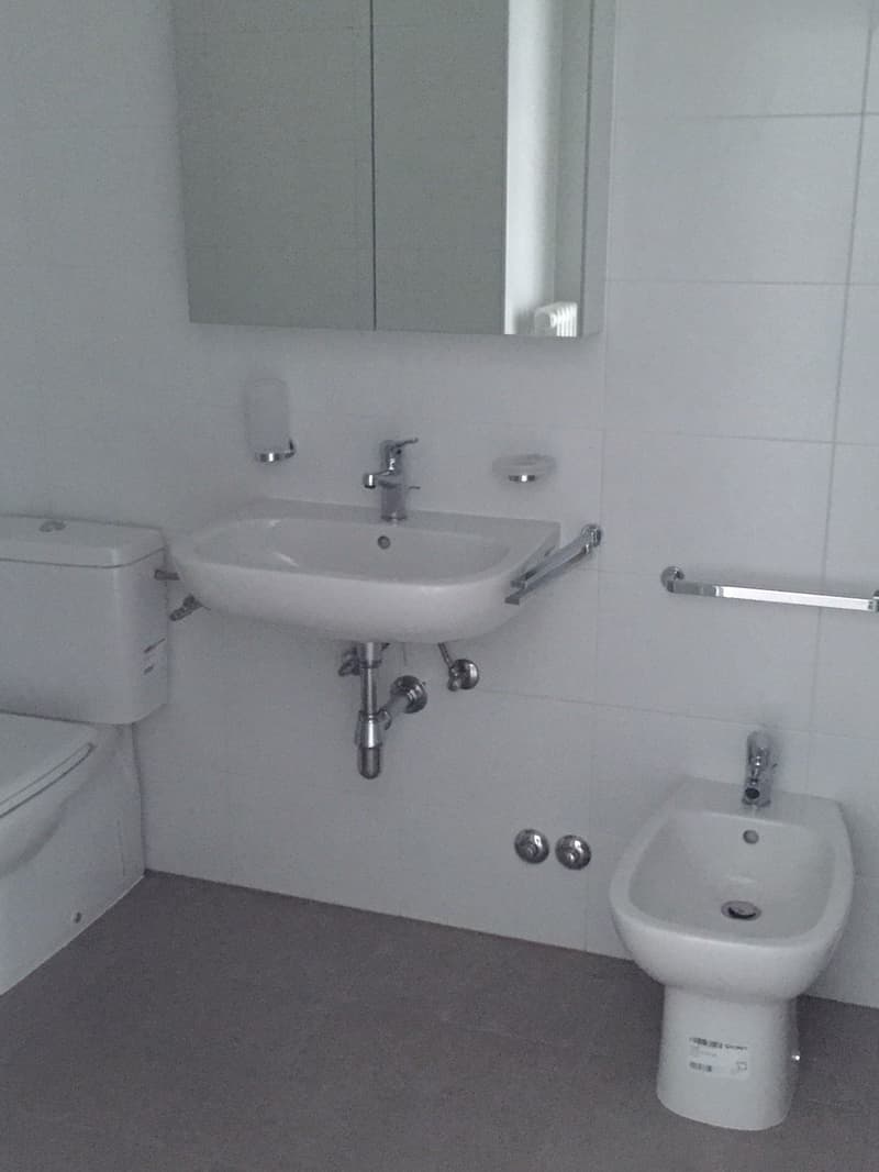 2.5-room apartment renovated in Giubiasco in a quiet and green area (8)