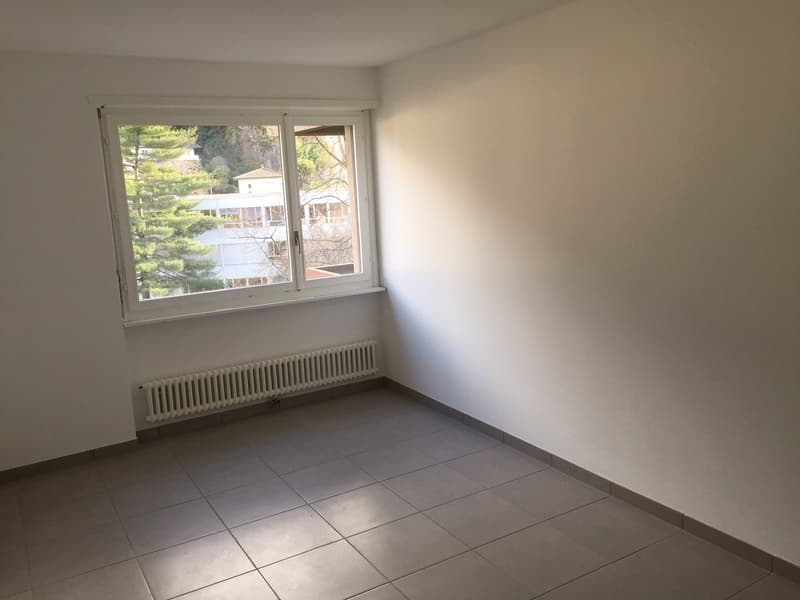 2.5-room apartment renovated in Giubiasco in a quiet and green area (4)