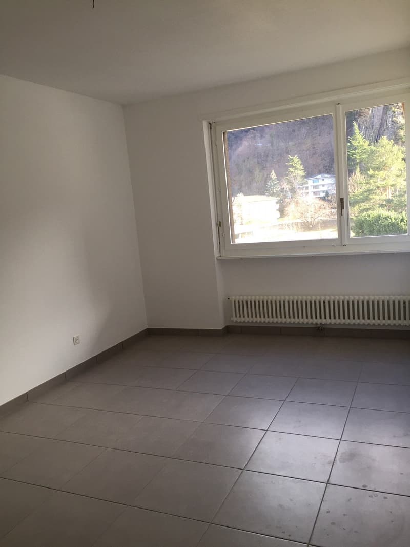 2.5-room apartment renovated in Giubiasco in a quiet and green area (11)