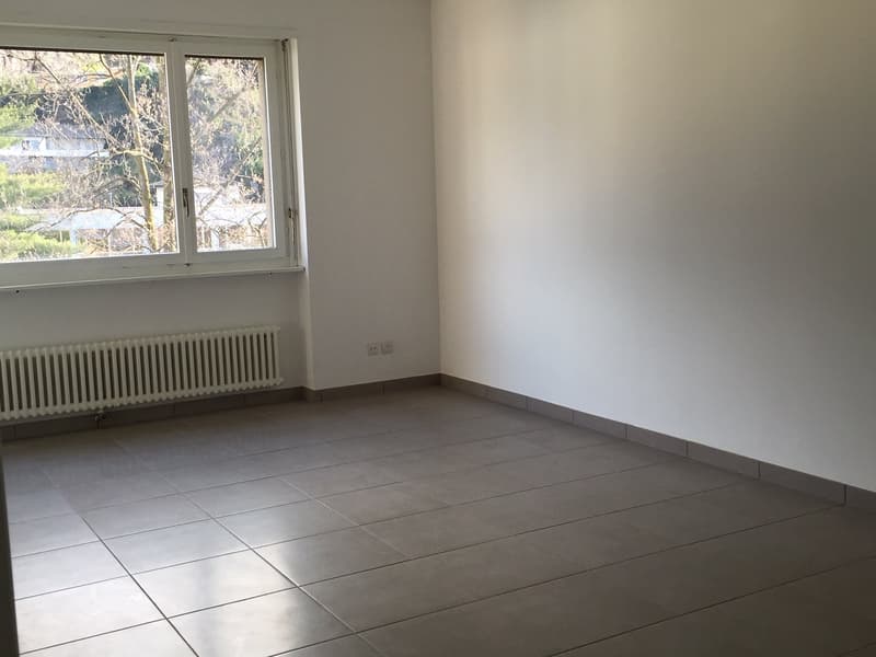 2.5-room apartment renovated in Giubiasco in a quiet and green area (3)