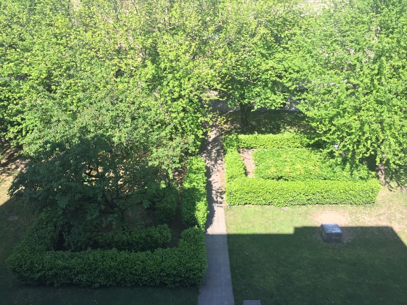 Bright and charming 2.5-room apartment in a park (3)