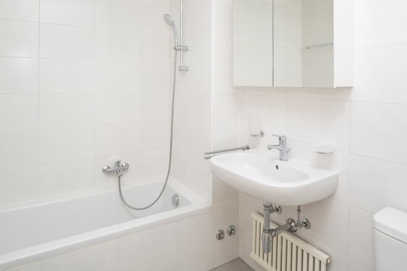 Bright and charming 2.5-room apartment in a park (6)