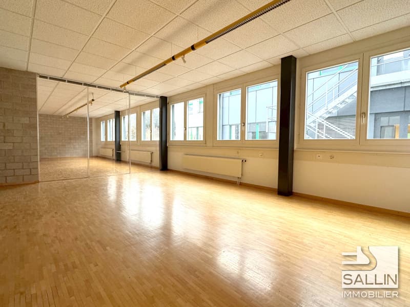 Surface administrative d'env. 270 m²  avec 3 pl. ext. et 2 pl. int. (4)