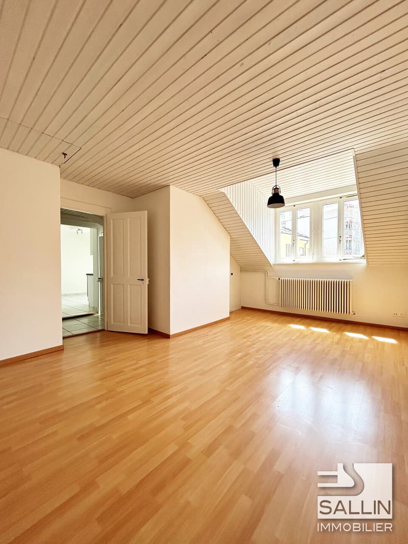 APPARTEMENT  DE 3½ PIECES  PROCHE DE TOUTES COMMODITES (2)