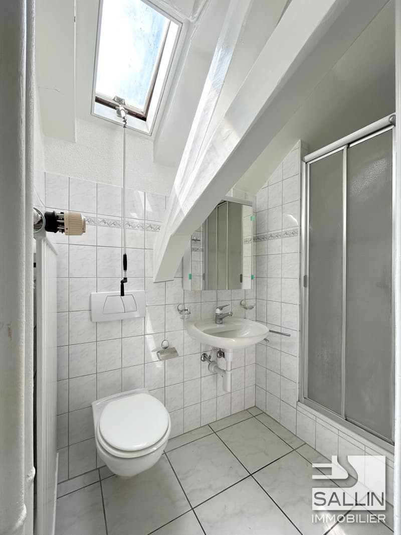 APPARTEMENT  DE 3½ PIECES  PROCHE DE TOUTES COMMODITES (7)