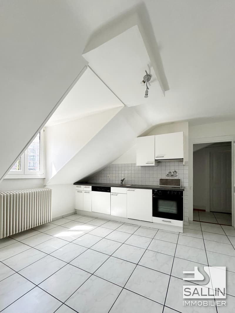 APPARTEMENT  DE 3½ PIECES  PROCHE DE TOUTES COMMODITES (6)