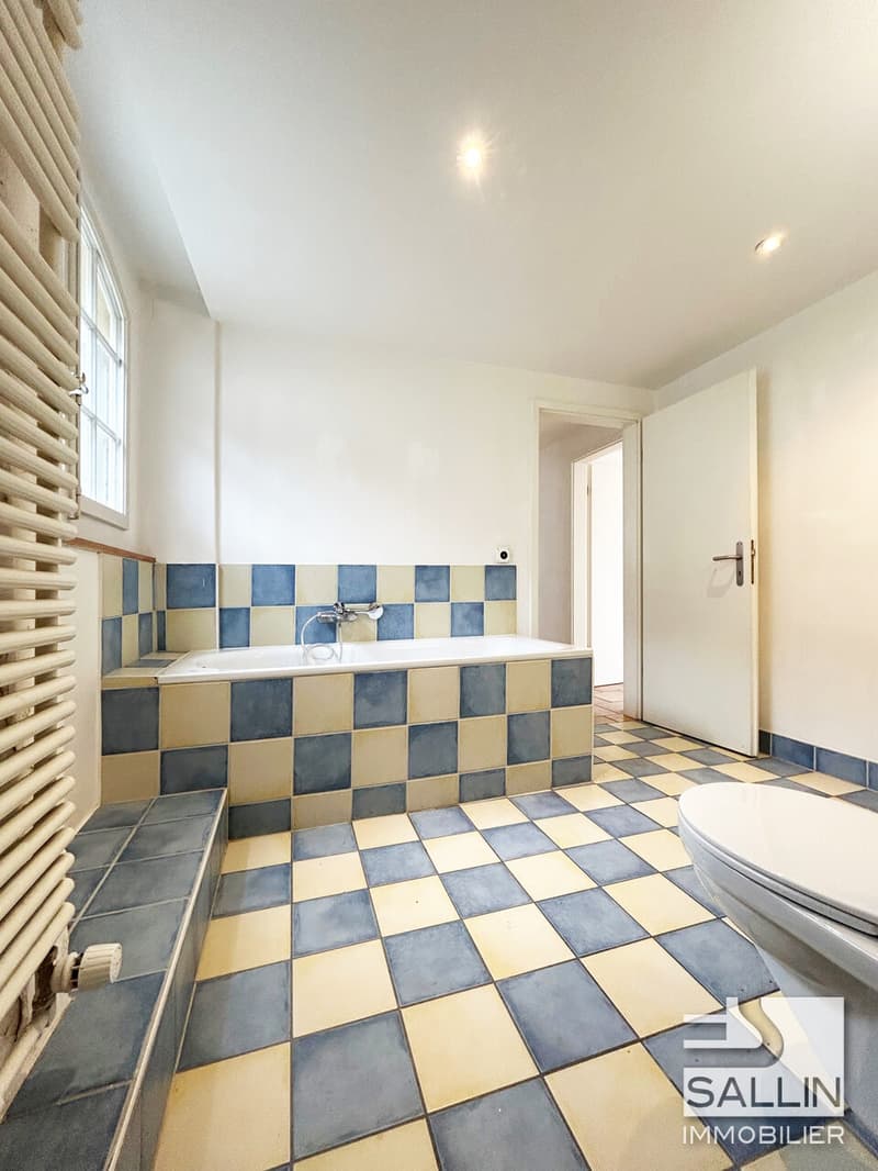 BEL APPARTEMENT DE 3½ PIECES AVEC TERRASSE (9)