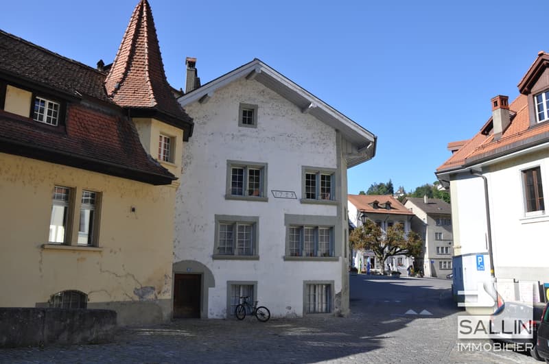 BEL APPARTEMENT DE 3½ PIECES AVEC TERRASSE (2)