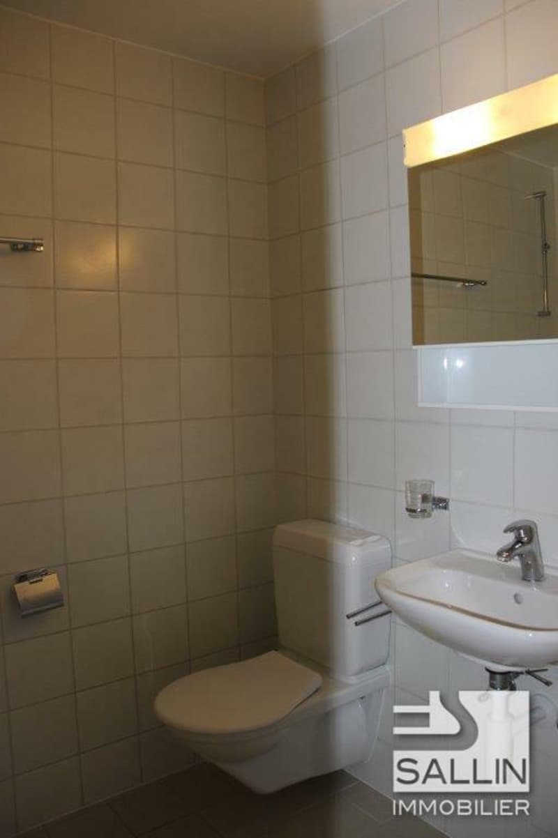 APPARTEMENT DUPLEX DE 3½ PIECES (3)