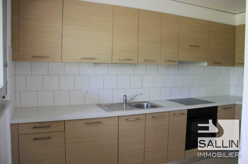 APPARTEMENT DUPLEX DE 3½ PIECES (2)