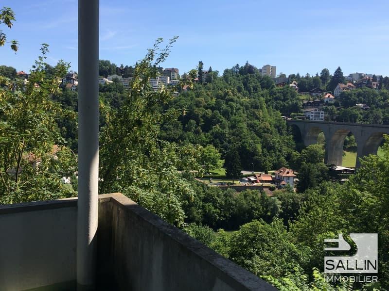 STUDIO AVEC BELLE VUE  SUR LA SARINE (3)