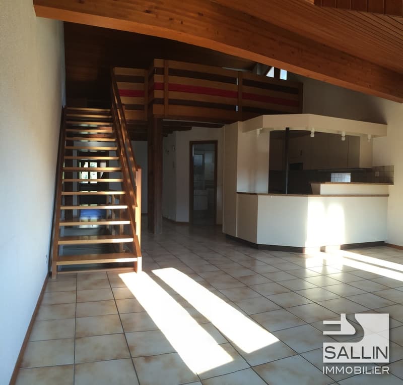 DUPLEX 3½ PIECES EN BASSE VILLE (5)