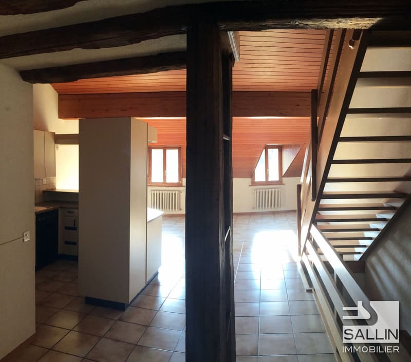 DUPLEX 3½ PIECES EN BASSE VILLE (6)