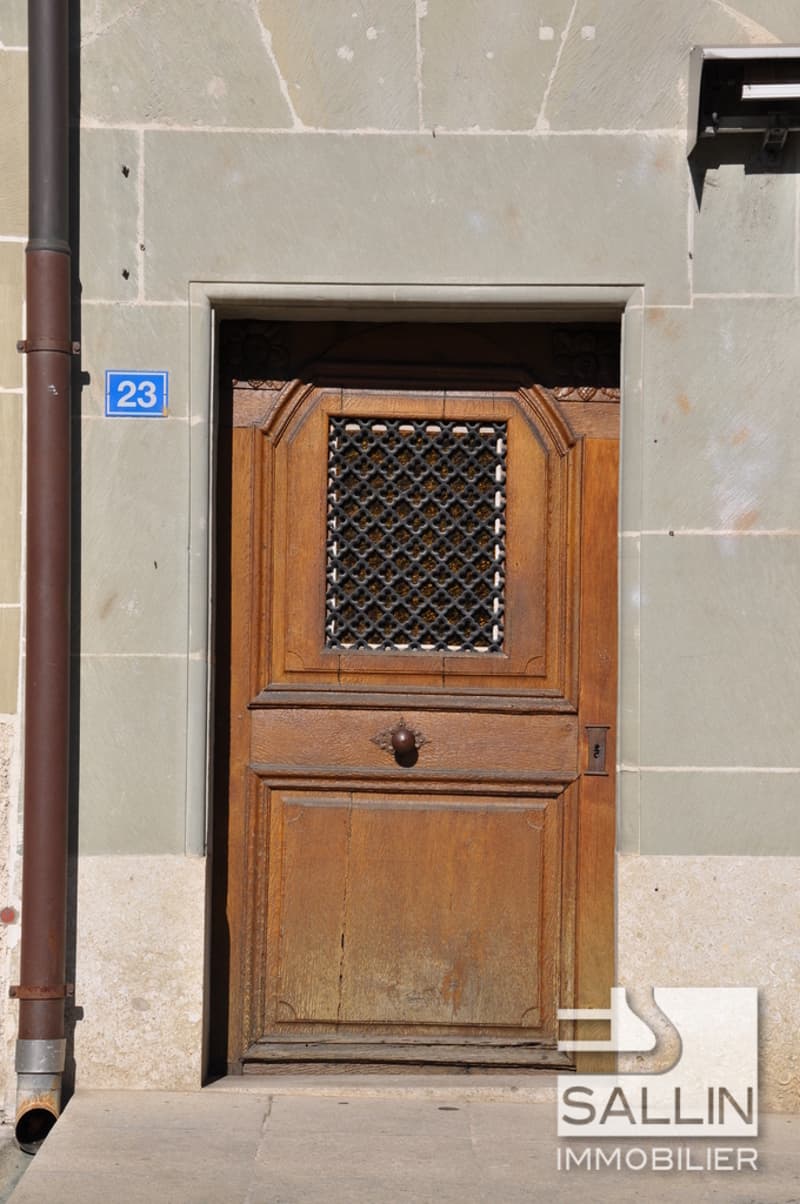 DUPLEX 3½ PIECES EN BASSE VILLE (3)