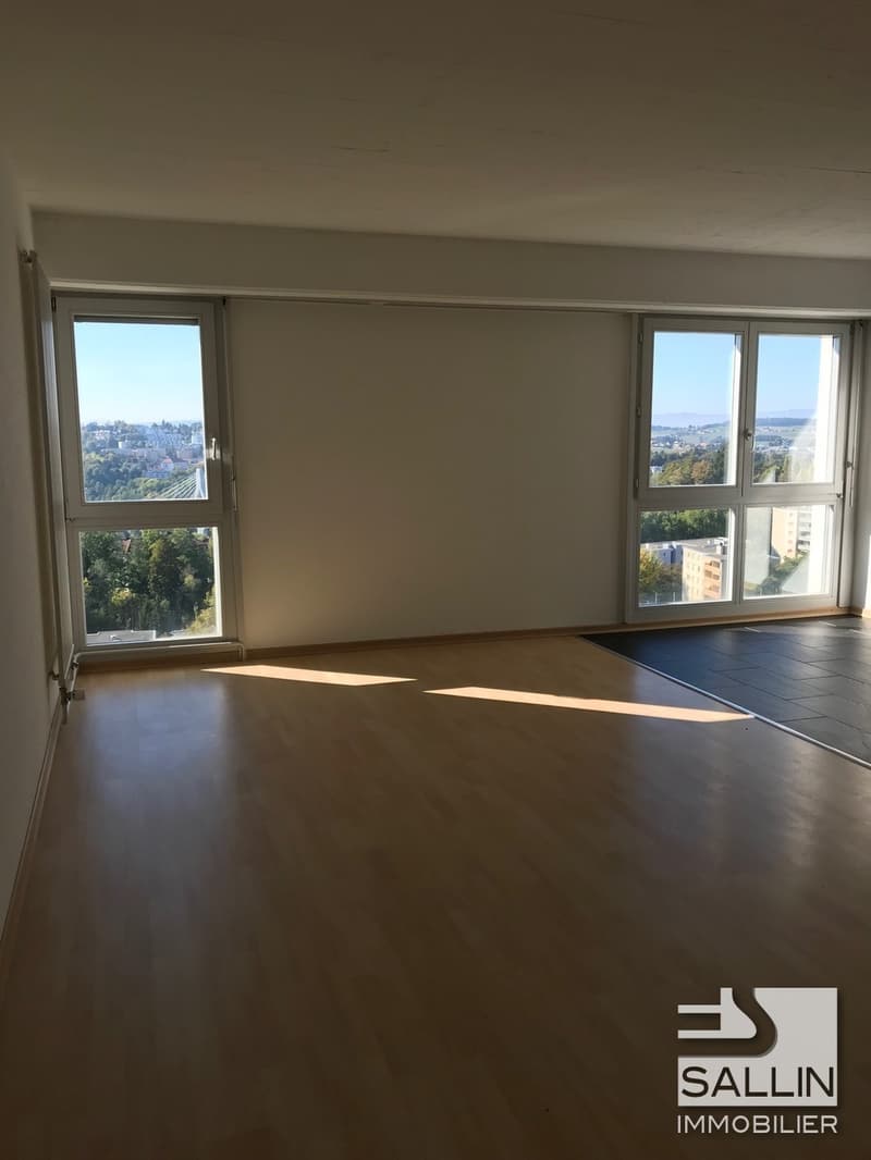 APPARTEMENT DE 4 PIECES  PROCHE DE TOUTES COMMODITES (2)