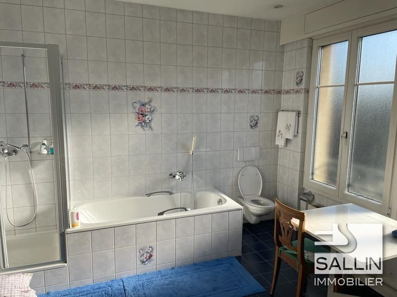 SPLENDIDE APPARTEMENT DE 6 PIECES DANS LE QUARTIER DE GAMBACH (8)