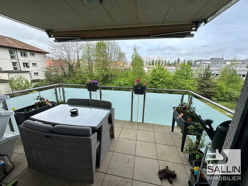 APPARTEMENT DE 3½ PIECES PROCHE DE TOUTES COMMODITES (3)