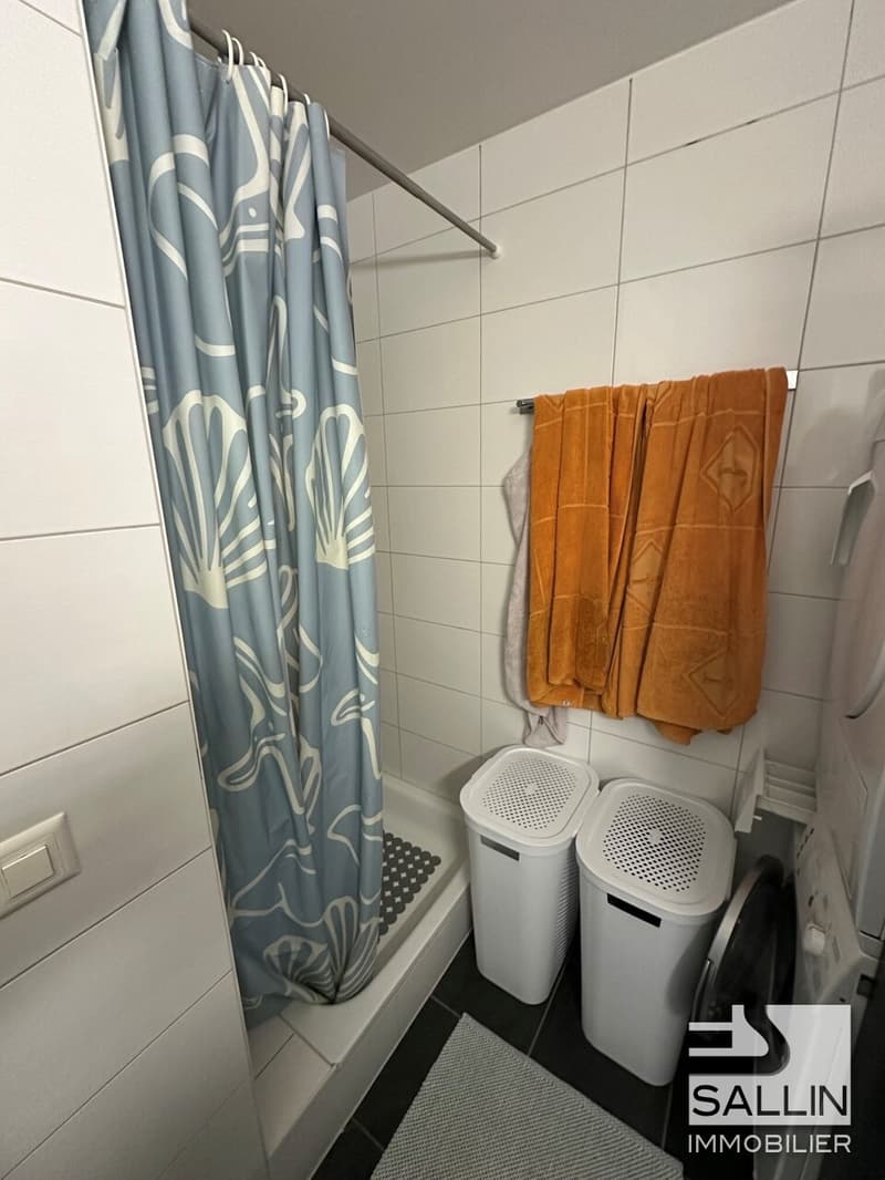 APPARTEMENT DE 3½ PIECES PROCHE DE TOUTES COMMODITES (6)
