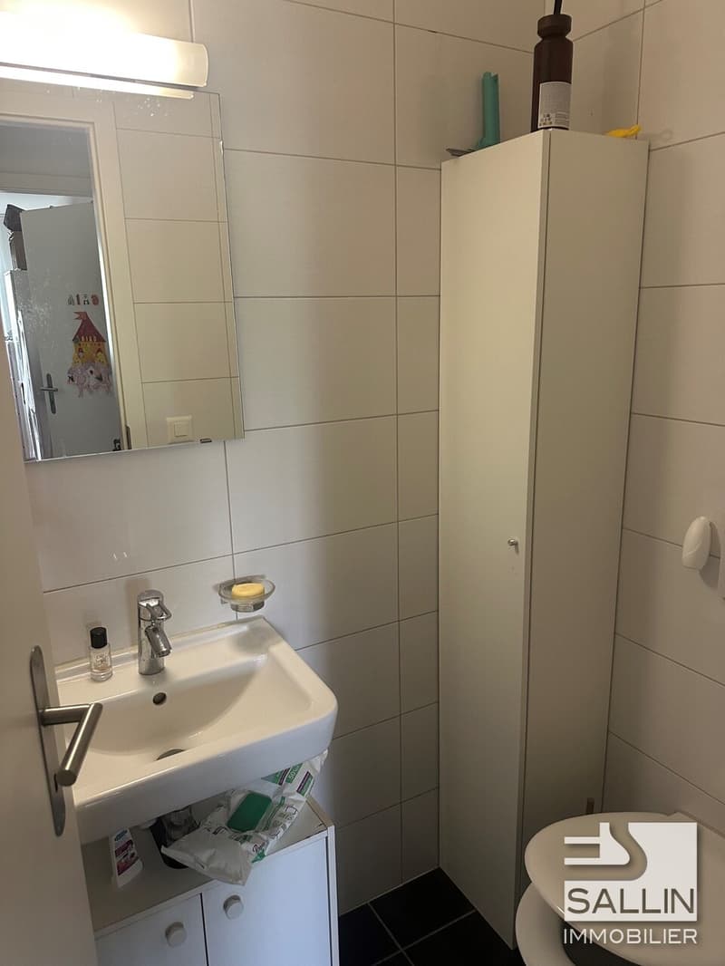 APPARTEMENT DE 3½ PIECES PROCHE DE TOUTES COMMODITES (7)