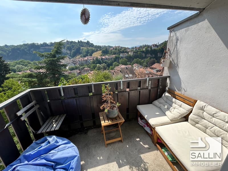 APPARTEMENT DUPLEX RENOVE DE 3½ PIECES A L'ENTREE DE LA BASSE VILLE (5)