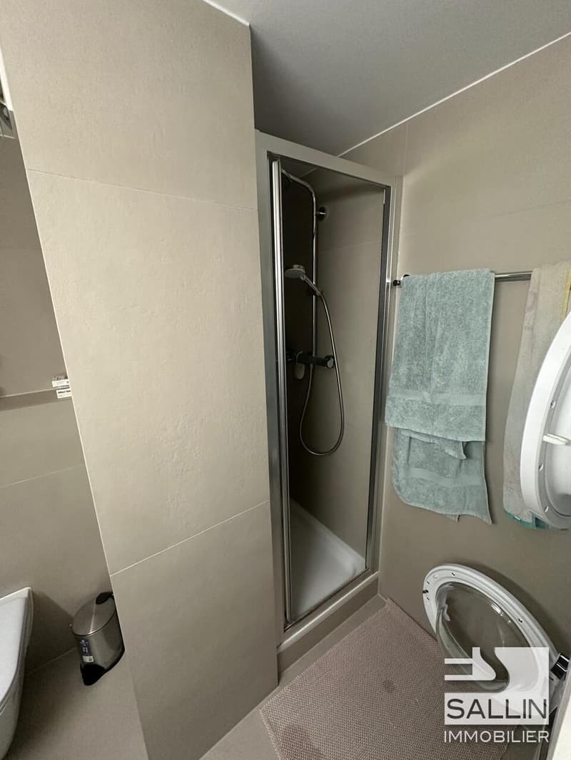 APPARTEMENT DUPLEX RENOVE DE 3½ PIECES A L'ENTREE DE LA BASSE VILLE (12)