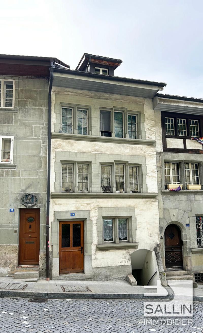 APPARTEMENT DUPLEX RENOVE DE 3½ PIECES A L'ENTREE DE LA BASSE VILLE (1)