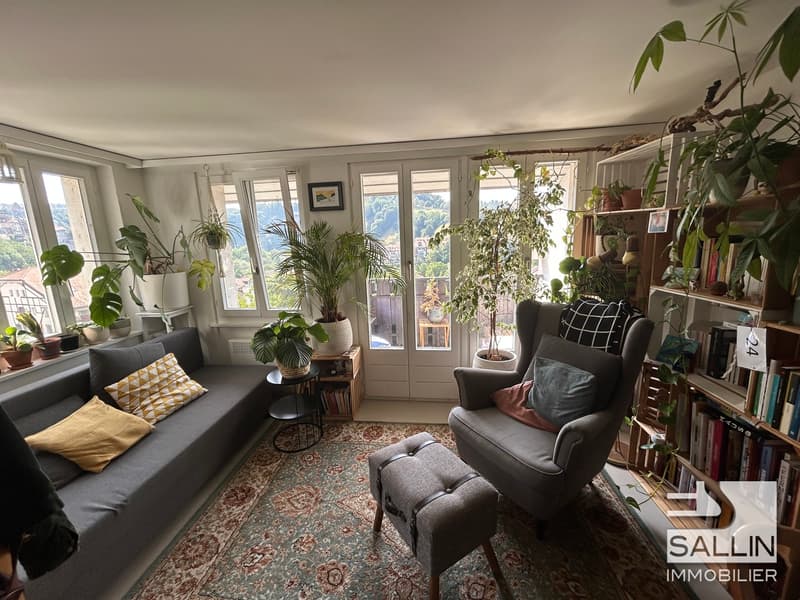 APPARTEMENT DUPLEX RENOVE DE 3½ PIECES A L'ENTREE DE LA BASSE VILLE (8)