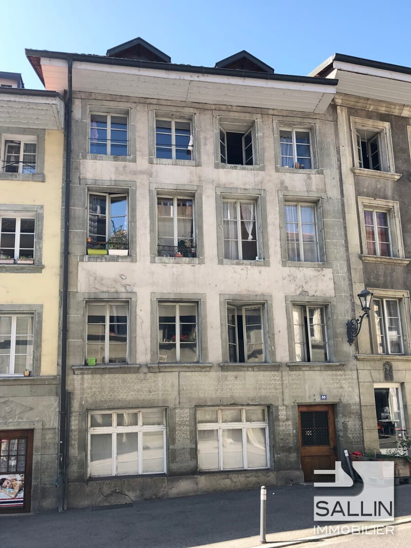 STUDIO RENOVE DANS LE QUARTIER DE LA NEUVEVILLE (1)