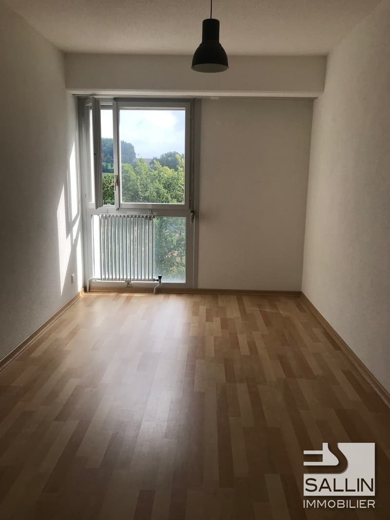 APPARTEMENT DE 3 PIECES DANS UN QUARTIER FAMILIAL (6)