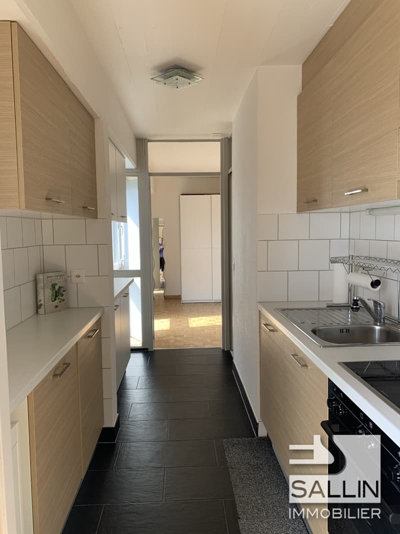 APPARTEMENT RENOVE DE 2½ PIECES AVEC VUE DEGAGEE (6)