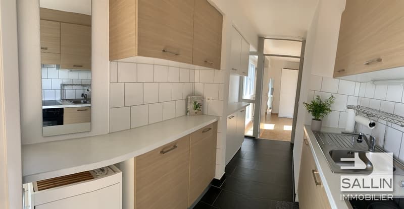 APPARTEMENT RENOVE DE 2½ PIECES AVEC VUE DEGAGEE (2)