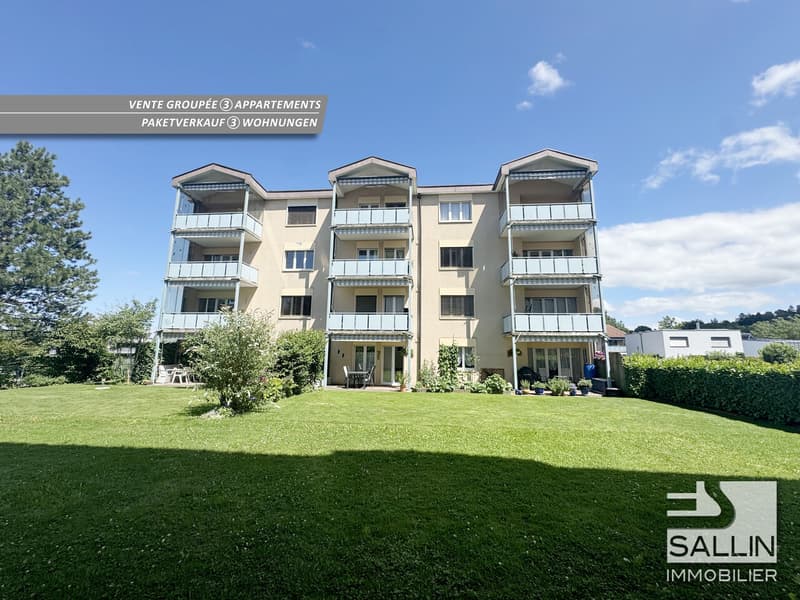 Vente de 3 appartements, 2x 5 pièces et 4 pces + 3 place de parc int. (1)