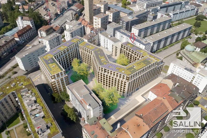 Local commercial d'env. 45 m² avec dépôt d'env. 35 m² au centre ville (2)