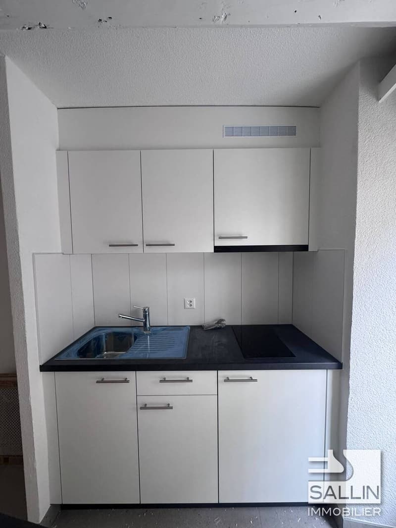 STUDIO RENOVE AVEC TERRASSE AU CENTRE VILLE (4)