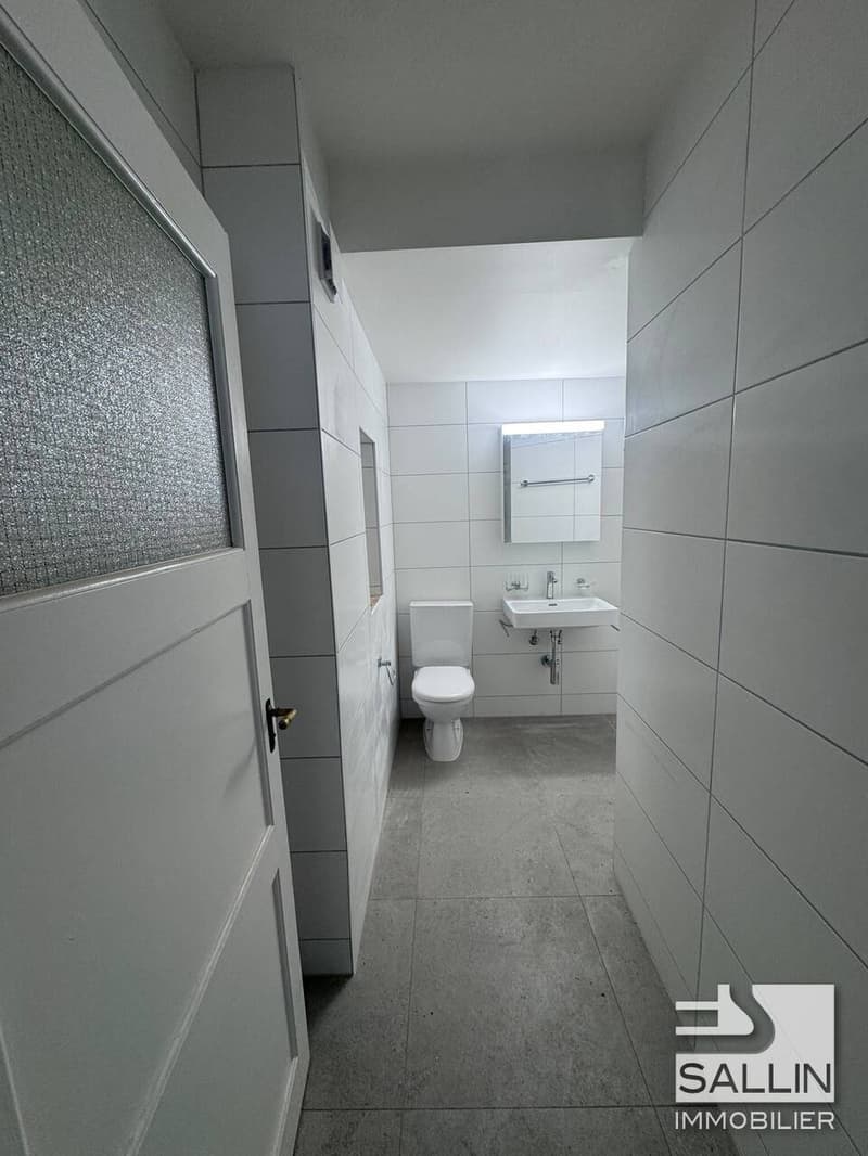 STUDIO RENOVE AVEC TERRASSE AU CENTRE VILLE (6)