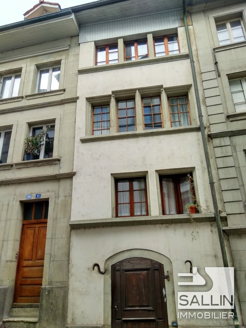 STUDIO RENOVE AVEC TERRASSE AU CENTRE VILLE (1)