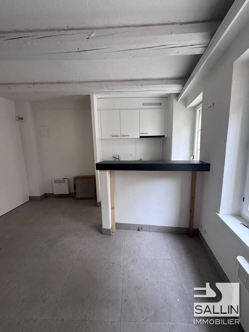STUDIO RENOVE AVEC TERRASSE AU CENTRE VILLE (3)