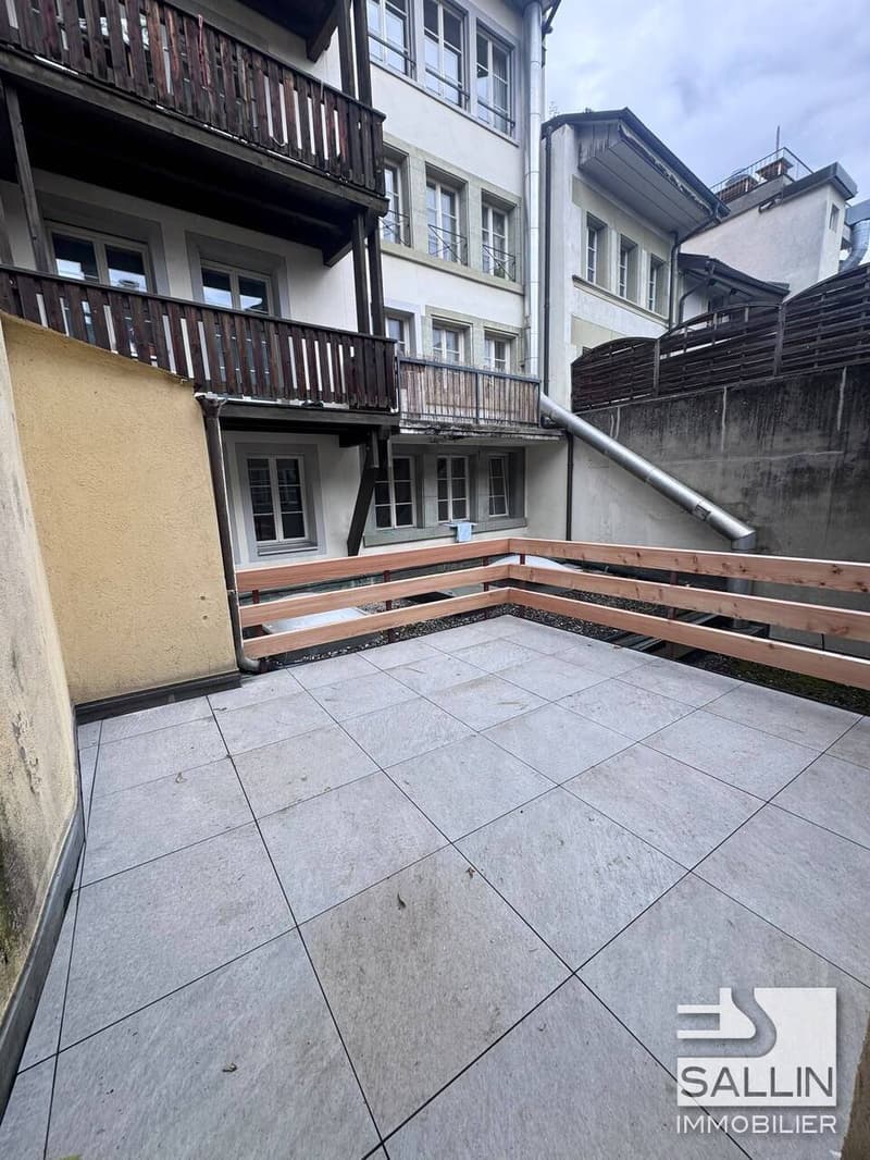 STUDIO RENOVE AVEC TERRASSE AU CENTRE VILLE (7)
